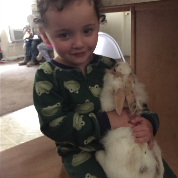 Meet your Posher, Maya - Picture 4 of 8